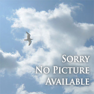 Römischer Straßendamm