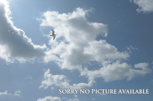 Freiburg im Breisgau