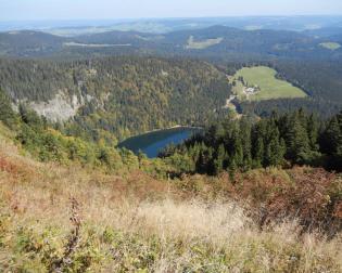 Feldsee