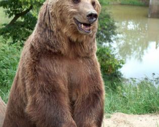 Wild- und Freizeitpark Westerwald