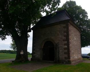 Klus mit Sommerlinde