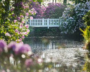 Schlosspark Lütetsburg