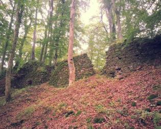 Burgruine Neue Burg Padberg