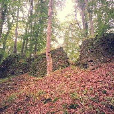 Burgruine Neue Burg Padberg