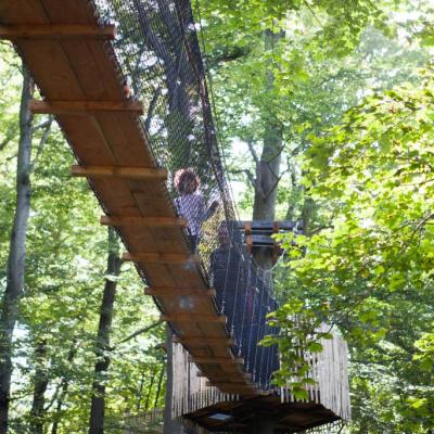 Baumkronenpfad Hoherodskopf