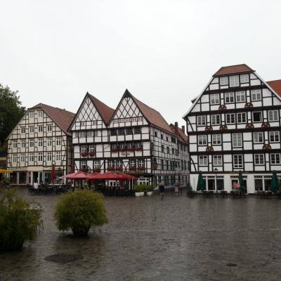 Im-Wilden-Mann
