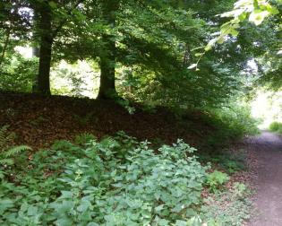 Römerkastell Zugmantel