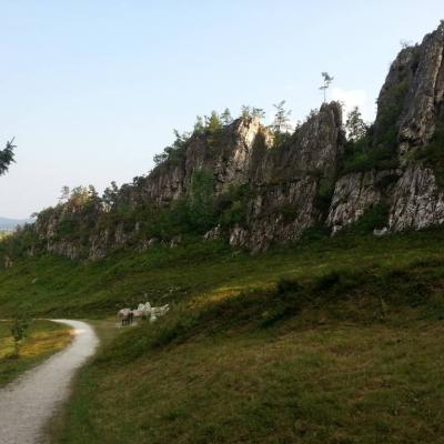 Großer Pfahl bei Viechtach