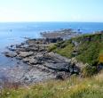 Lizard Point