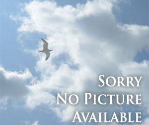 Heidelberger Weihnachtsmarkt