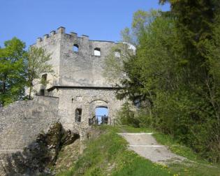 Burgruine Hohenwang