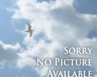 Freiburg im Breisgau